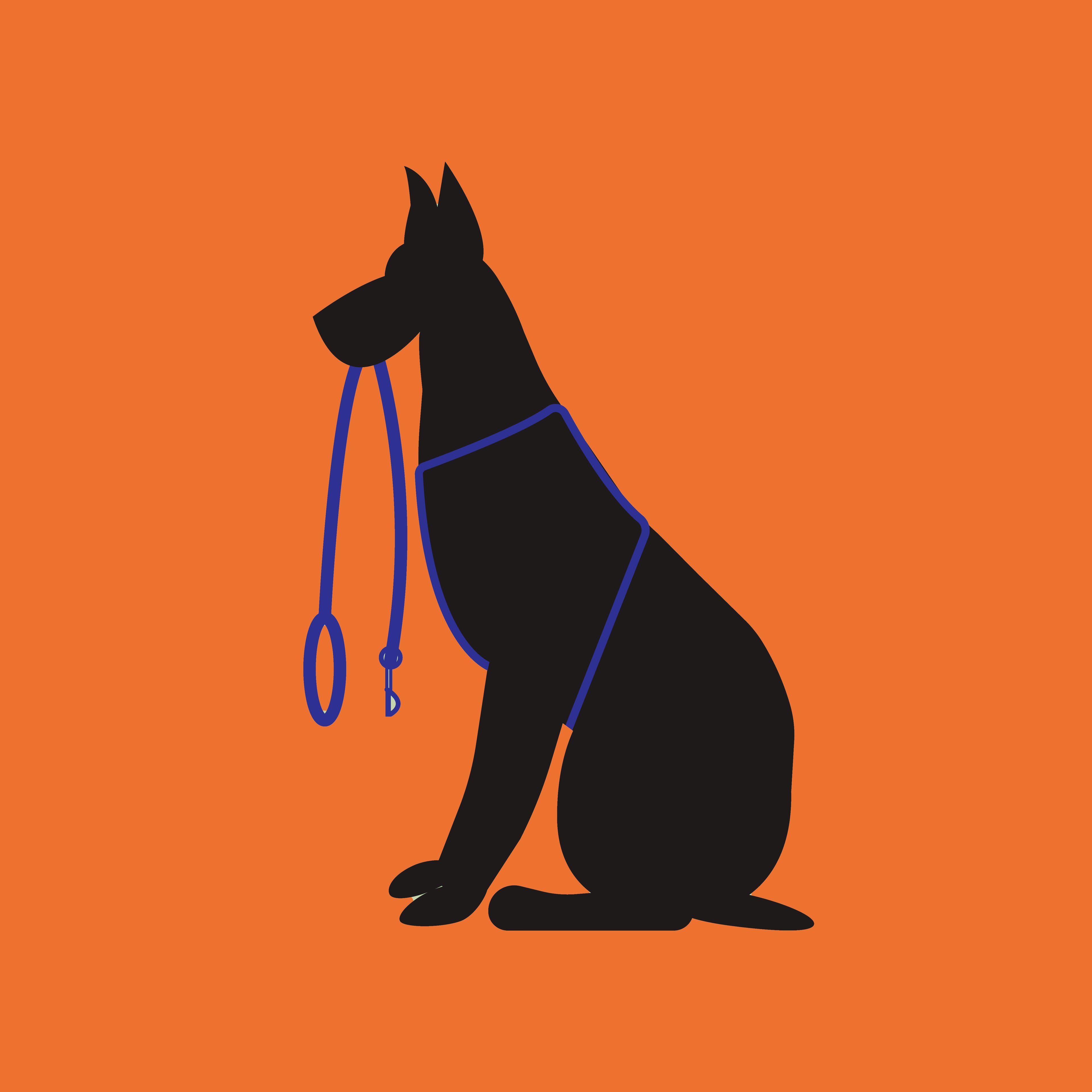 Dog Walking Done Better