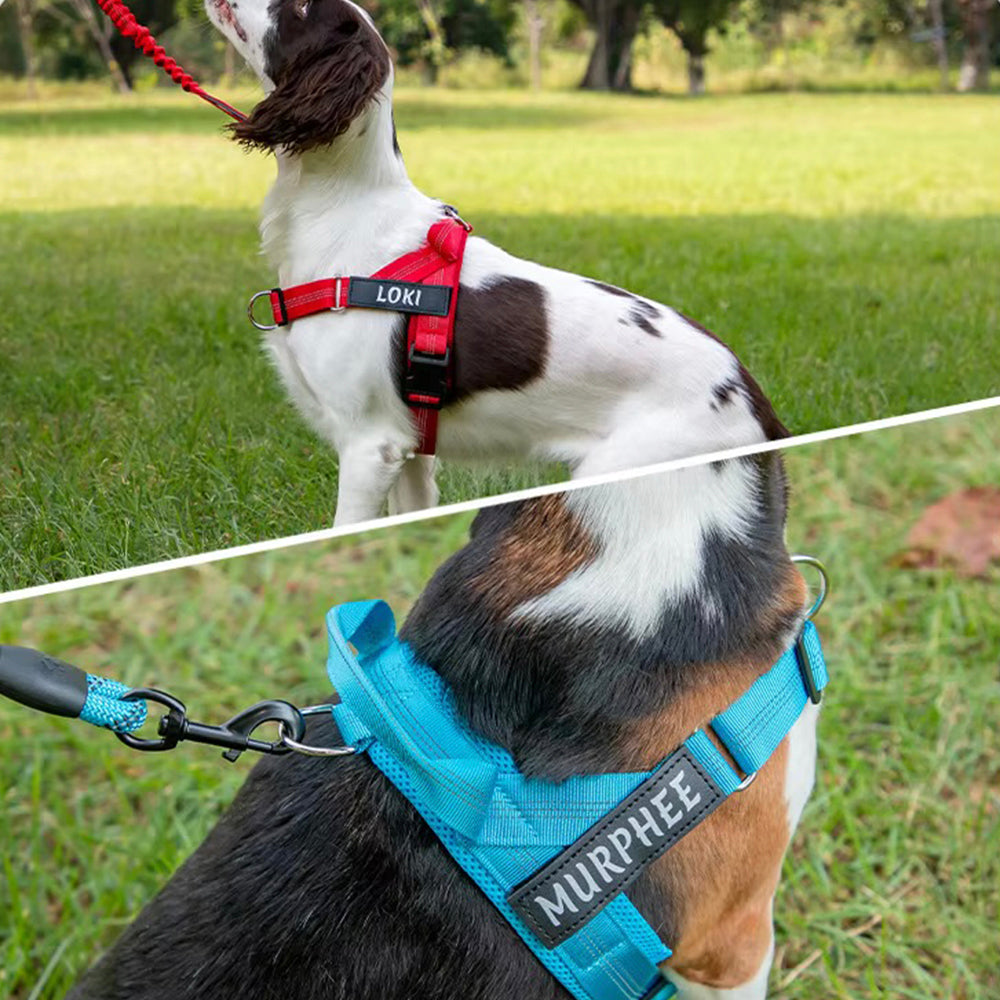 Easy Walk No-Pull Harness
