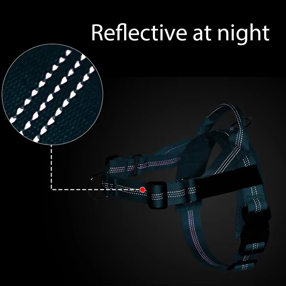 Easy Walk No-Pull Harness