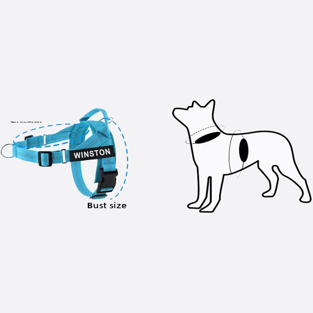 Easy Walk No-Pull Harness